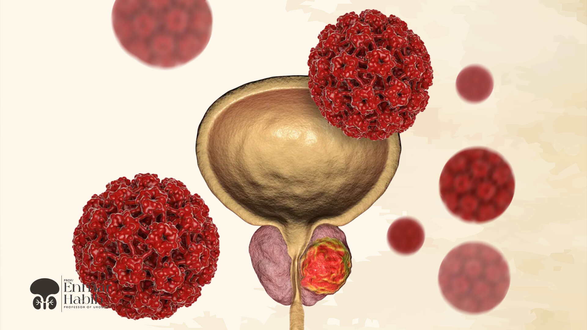 Early-Detection-for-Prostate-Importance